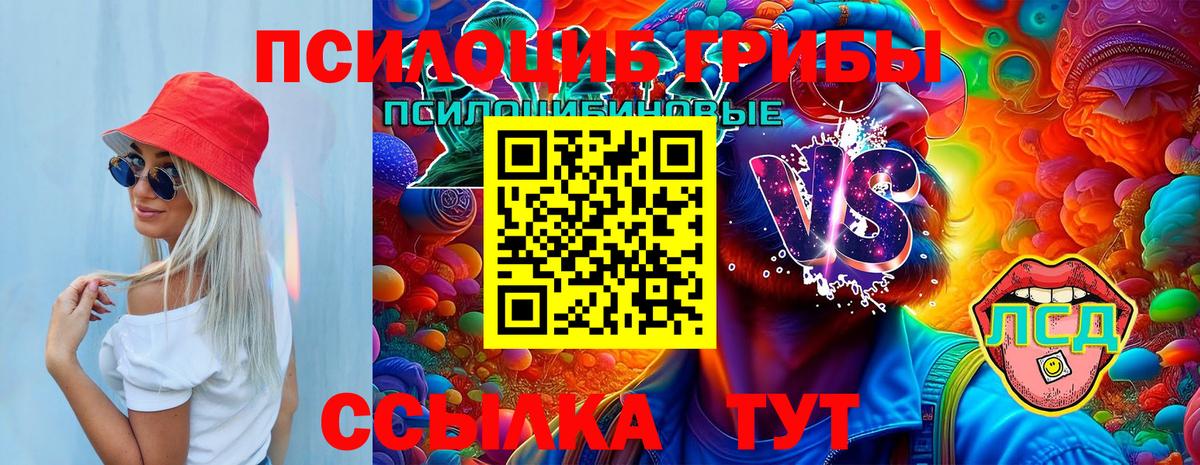 Псилоцибиновые грибы Psilocybe  Галлюциногенные грибы Cubensis  Родники  Вход с VPN 